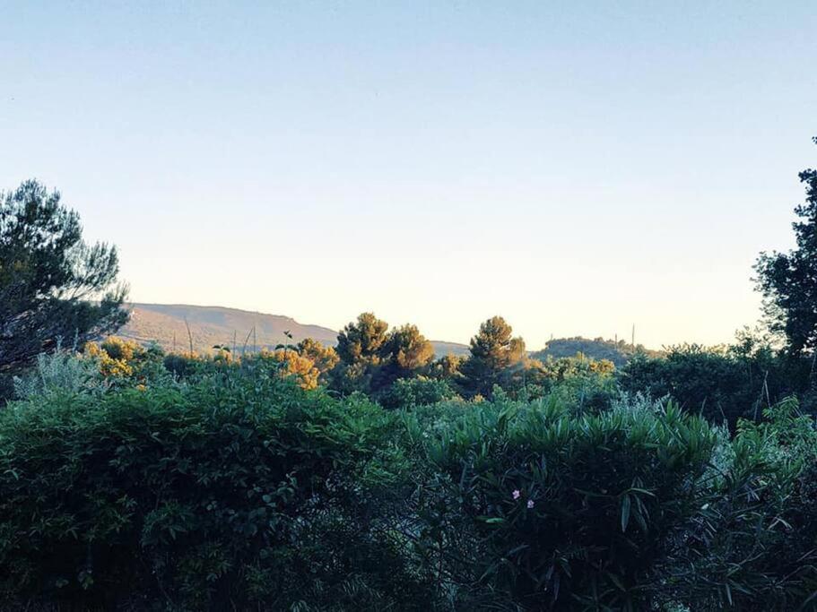 Entre Ventoux Et Luberon, Appartement Dans Maison. Malemort-du-Comtat Exteriér fotografie