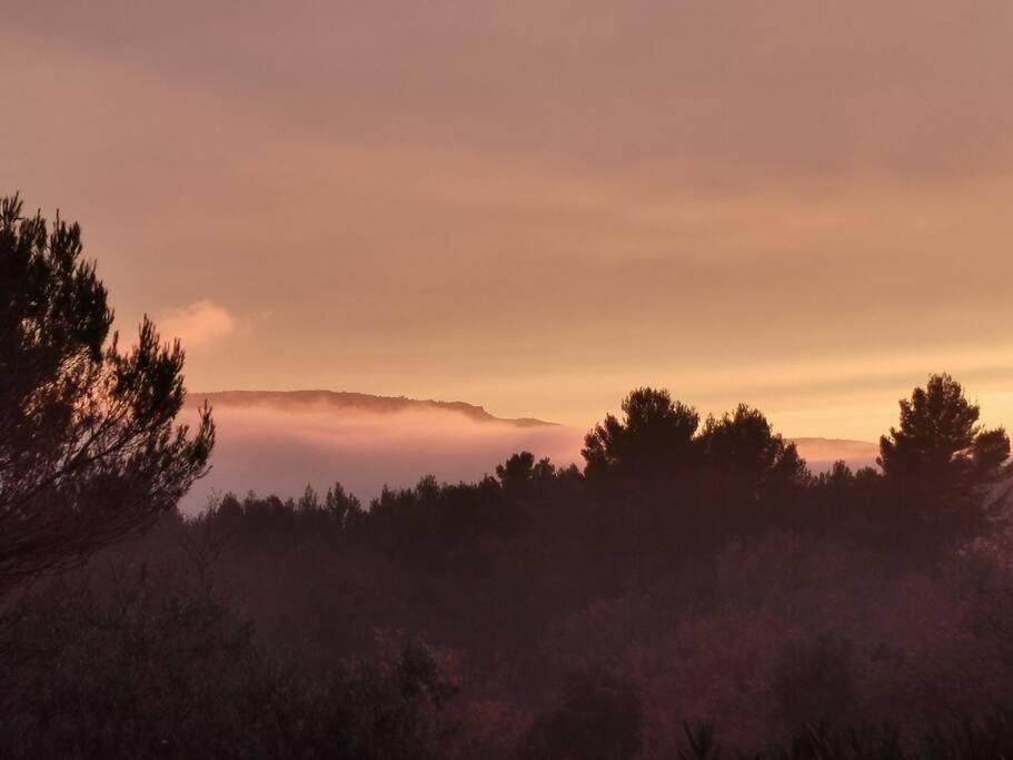Entre Ventoux Et Luberon, Appartement Dans Maison. Malemort-du-Comtat Exteriér fotografie