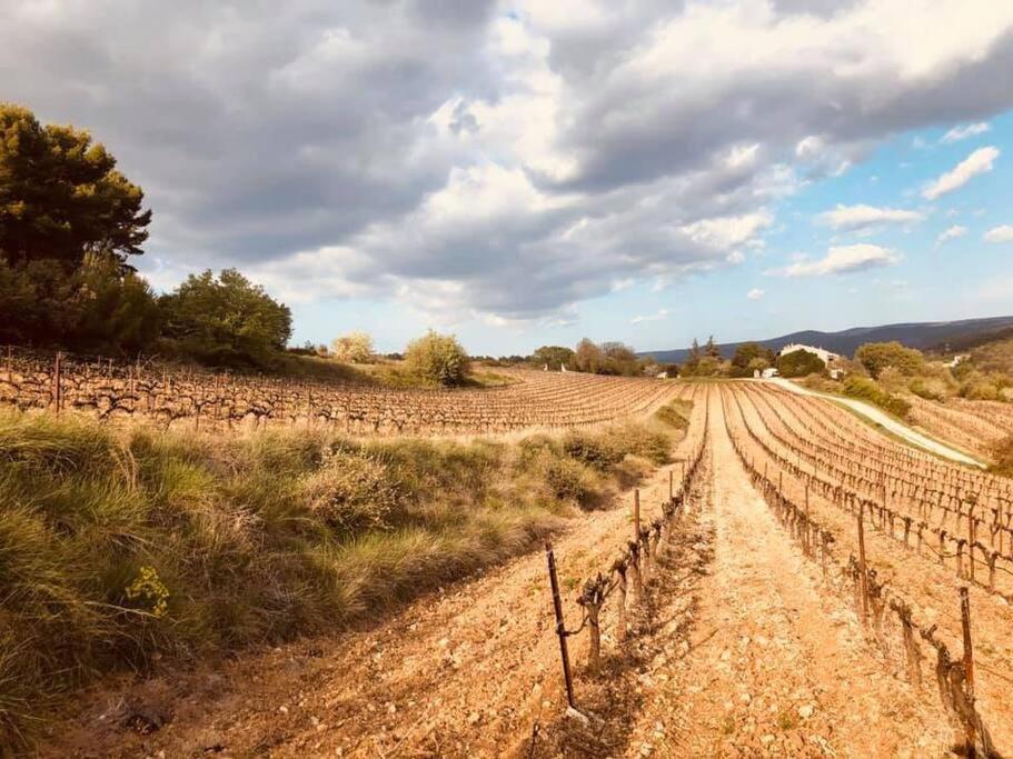 Entre Ventoux Et Luberon, Appartement Dans Maison. Malemort-du-Comtat Exteriér fotografie