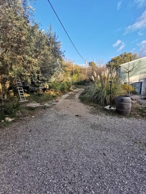Entre Ventoux Et Luberon, Appartement Dans Maison. Malemort-du-Comtat Exteriér fotografie