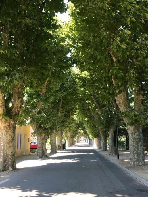 Entre Ventoux Et Luberon, Appartement Dans Maison. Malemort-du-Comtat Exteriér fotografie